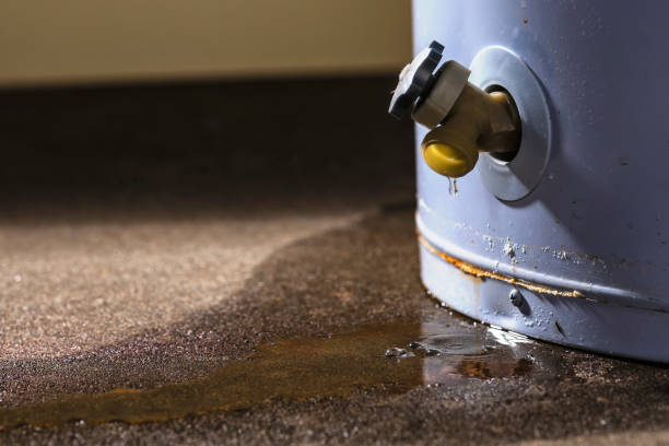  Goodwell, OK Water damage restoration Pros