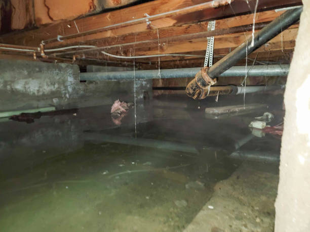 Best Water damage restoration near me  in Goodwell, OK