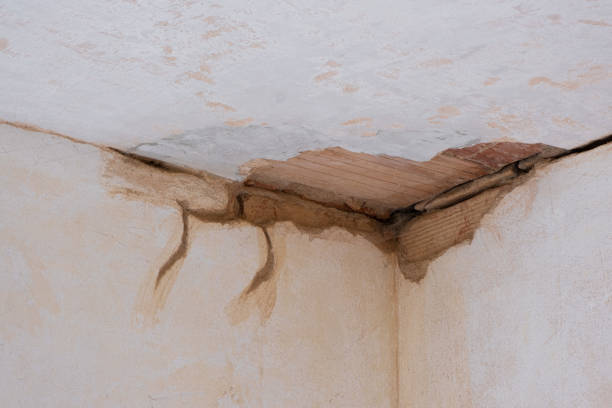 Best 24/7 water damage repair  in Goodwell, OK