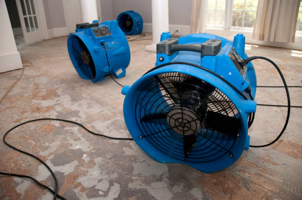 Best Fire Damage Restoration  in Goodwell, OK