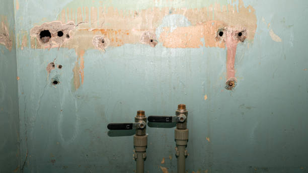 Best Water damage cleanup near me  in Goodwell, OK
